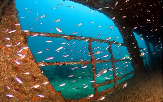 Aquaworld Cancun Wreck Dive